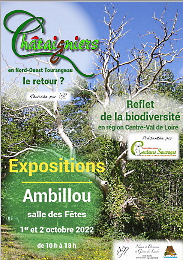 Affiche