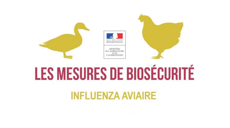 influenza-aviaire-novembre-21jpeg-jpg