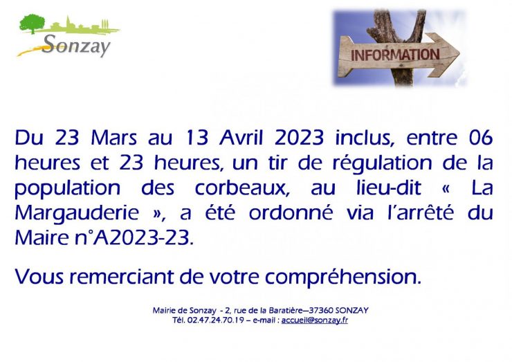 Tir de régulation des corbeaux