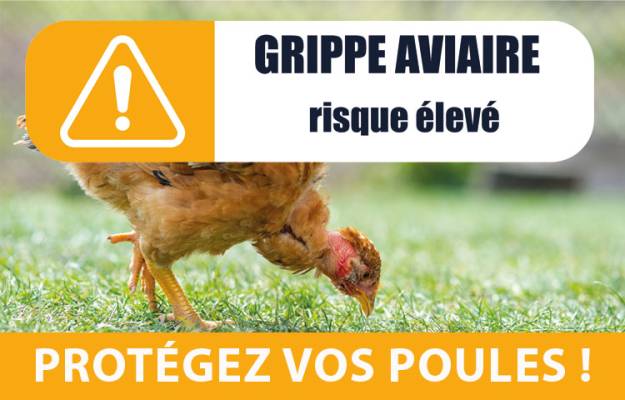 téléchargement